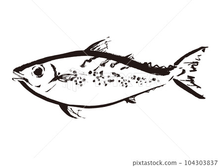Hand drawn Japanese style illustration of mackerel Japanese style material 104303837