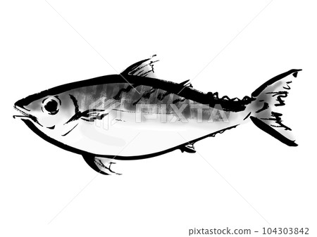 Hand drawn Japanese style illustration of mackerel Japanese style material 104303842