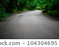 Road inside green 104304695