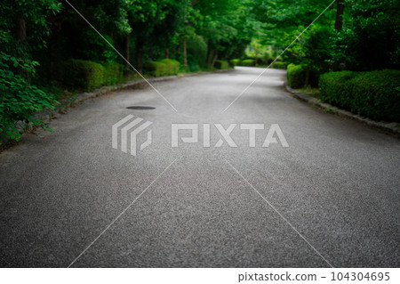 Road inside green 104304695