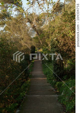 Mont Boron trail path for walking or hiking 104304758