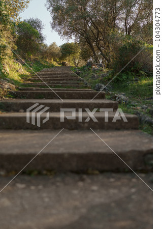 Mont Boron trail path for walking or hiking Mont Boron trail path for walking or hiking 104304773