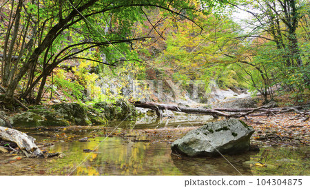 Summer day forest stream water with motion blur waves Summer day forest stream water with motion blur waves 104304875