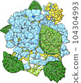 Hydrangea flower 104304993