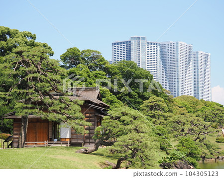 Hama-rikyu Gardens Matsu no Ochaya and Skyscrapers 104305123