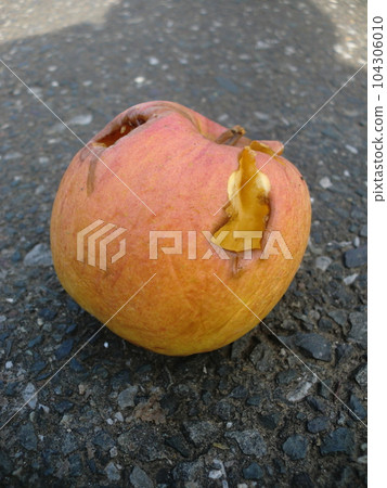 apples abandoned on the road apples abandoned on the road 104306010