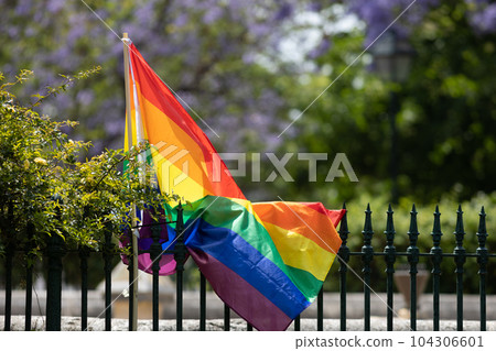 LGBT flag at the fence in the summer park LGBT flag at the fence in the summer park 104306601