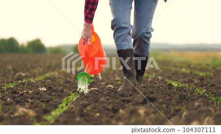 farmer watering sprouts watering can, farmer working field, watering fresh green sprout, agriculture, help business design summer sprouting mother moisture small garden produce seed conserve closeup farmer watering sprouts watering can, farmer working field, watering fresh green sprout, agriculture, help business design summer sprouting mother moisture small garden produce seed conserve closeup 104307111