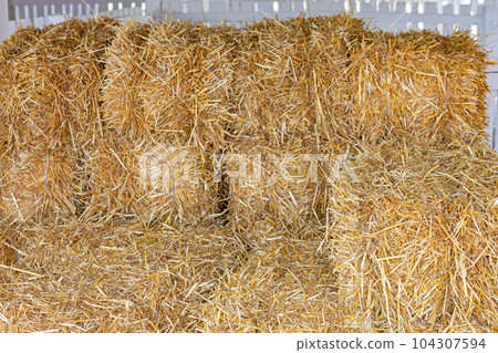 Straw Hay Bales Straw Hay Bales 104307594