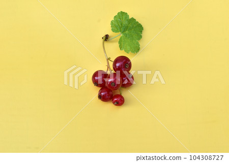 Currant red with a leaf on a yellow background. 104308727