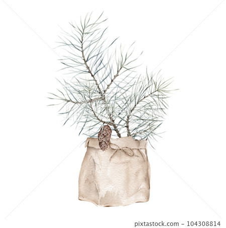 pine branch wiht the cones, watercolor isolated image. In craft package. It can be used for book illustration, design of postcards, holiday paper and other works on the Christmas theme 104308814