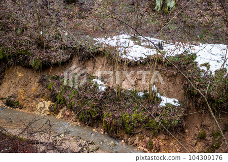 A small landslide on the clay slope of the ravine due to water washout 104309176