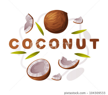 Coconut Product as Tropical Fruit and Organic Food Ingredient Vector Composition 104309533