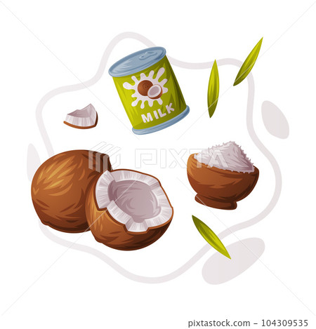 Coconut Product as Tropical Fruit and Organic Food Ingredient Vector Composition Coconut Product as Tropical Fruit and Organic Food Ingredient Vector Composition 104309535