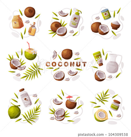 Coconut Products as Tropical Fruit and Organic Food and Cosmetic Ingredient Vector Composition Set 104309538