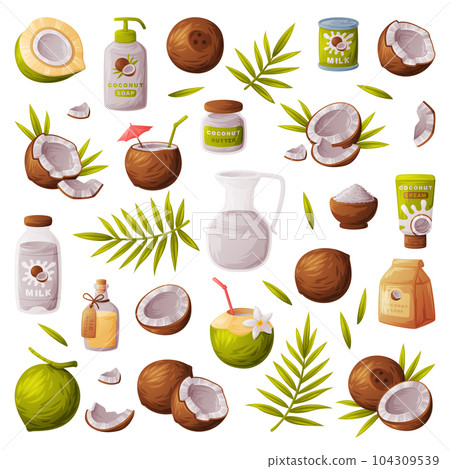 Coconut Products as Tropical Fruit and Organic Food and Cosmetic Ingredient Vector Set 104309539