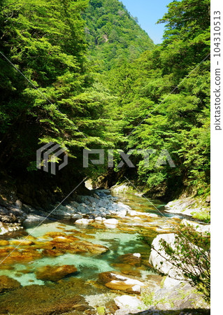 新綠之谷(奈良縣吉野郡下北山村善喜吉野熊野國立公園內) 新綠之谷(奈良縣吉野郡下北山村善喜吉野熊野國立公園內) 104310513