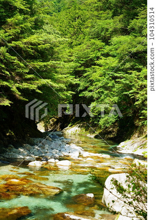 新綠之谷(奈良縣吉野郡下北山村善喜吉野熊野國立公園內) 新綠之谷(奈良縣吉野郡下北山村善喜吉野熊野國立公園內) 104310514