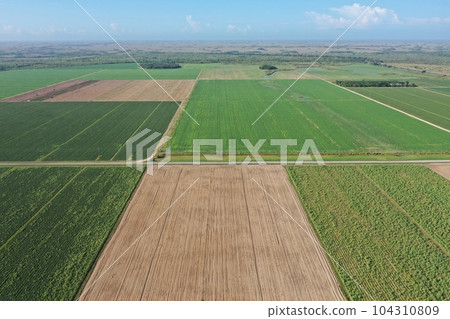 Aerial image of Homestead, Florida agricultural area near Everglades. 104310809