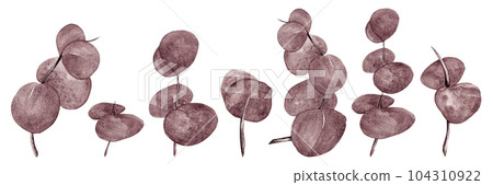 Eucalyptus grey-purple. Border from different branches of eucalyptus in watercolor for your design 104310922