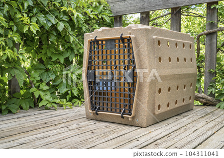 sturdy dog travel kennel on wooden backyard deck 104311041