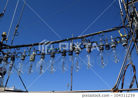 Squid fishing fishing boat Shonai beach, Yamagata prefecture 104311239