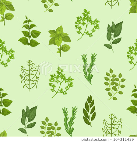 Seamless Pattern with Culinary Herbs Basil, Thyme, Rosemary, Parsley, And Oregano, Mint, Cilantro, Sage, Marjoram Seamless Pattern with Culinary Herbs Basil, Thyme, Rosemary, Parsley, And Oregano, Mint, Cilantro, Sage, Marjoram 104311459