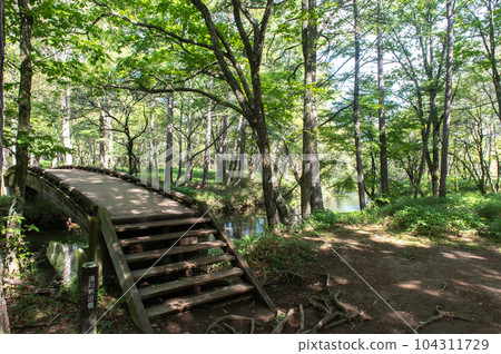 Okunikko Odashirogahara Stroll 104311729