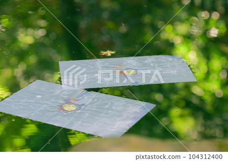 Divination of the mirror pond of Yaegaki Shrine 104312400