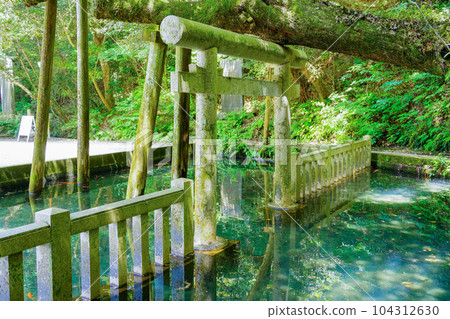 (Ibaraki Prefecture) Kashima Shrine/Mitarai Pond 104312630