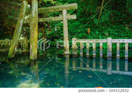 (Ibaraki Prefecture) Kashima Shrine/Mitarai Pond (Ibaraki Prefecture) Kashima Shrine/Mitarai Pond 104312632