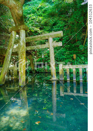 (Ibaraki Prefecture) Kashima Shrine/Mitarai Pond (Ibaraki Prefecture) Kashima Shrine/Mitarai Pond 104312633