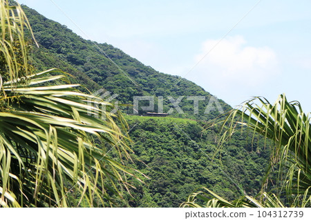 森林環繞的佐田岬展望台 104312739