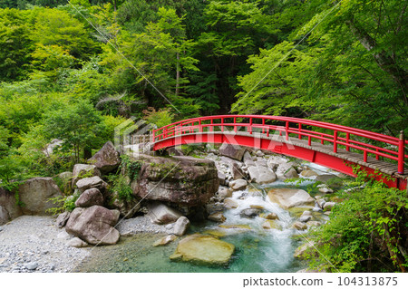 湯森公園的紅楓橋（岐阜縣中津川市） 104313875