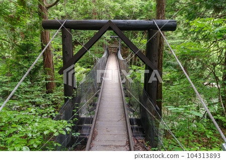 Akahiko Suspension Bridge in Atera Valley Akahiko Suspension Bridge in Atera Valley 104313893