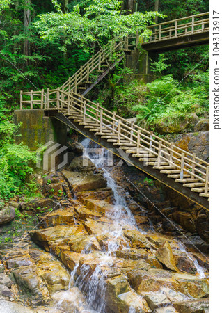 Ryujin Falls Walking Trail (Nakatsugawa City, Gifu Prefecture) 104313917