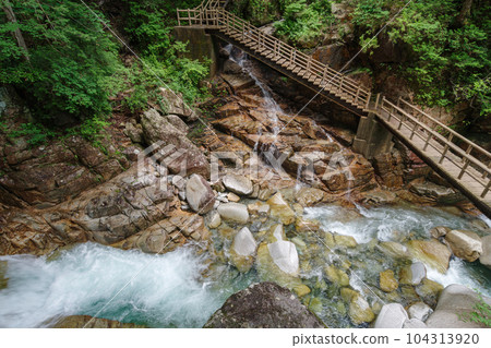 Ryujin Falls Walking Trail (Nakatsugawa City, Gifu Prefecture) 104313920