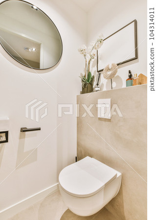 a bathroom with a mirror above the toilet and a vase on the wall next to the toilet is a white sink 104314011