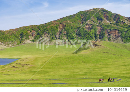 [熊本縣]阿蘇火山口草原草千里濱海灘和騎馬徒步旅行 104314659