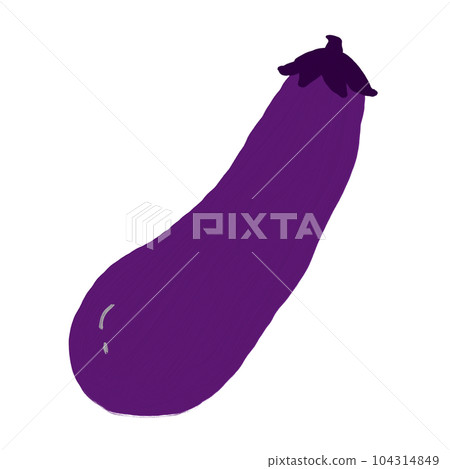 Eggplant, summer vegetables, autumn eggplant 104314849