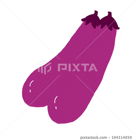 2 eggplants 104314850
