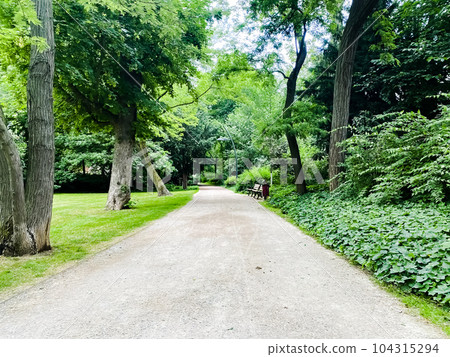 羅斯柴爾德公園在法蘭克福,黑森州,德國 羅斯柴爾德公園在法蘭克福,黑森州,德國 104315294