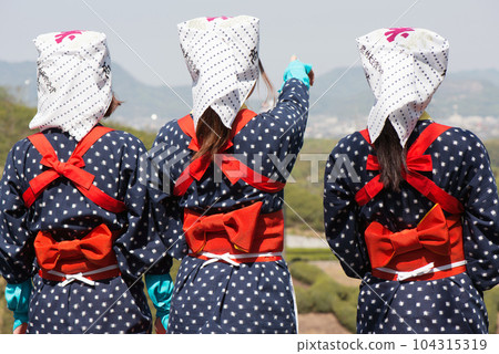 茶採摘女孩 茶採摘女孩 104315319