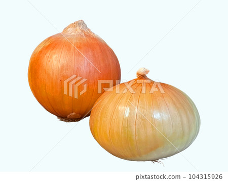 [White back] 2 green onions 104315926