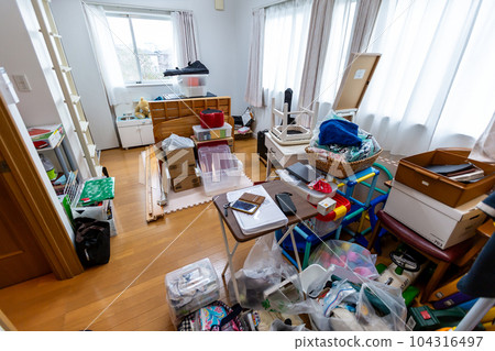 Elimination General cleaning 104316497