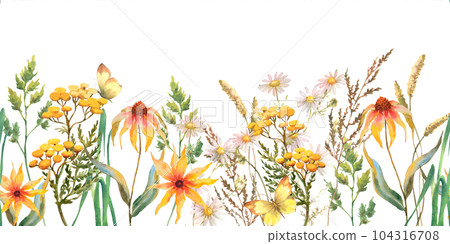 Seamless border with Herbs and wild flowers, leaves, butterflies. Botanical Illustration on white background. Template with place for text. 104316708
