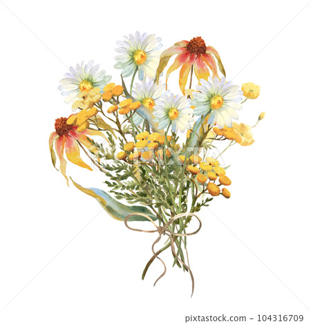 Watercolor bouquet of yellow echinacea flowers, Chamomile, tansy and field herbs. Template for invitations, postcards Watercolor bouquet of yellow echinacea flowers, Chamomile, tansy and field herbs. Template for invitations, postcards 104316709