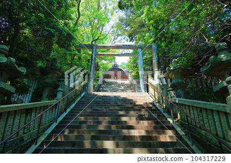 [Kagawa Prefecture] "Konpira-san" Kotohira-gu Shrine in the early morning (the main hall of worship seen from Gozen Shidanzaka) 104317229