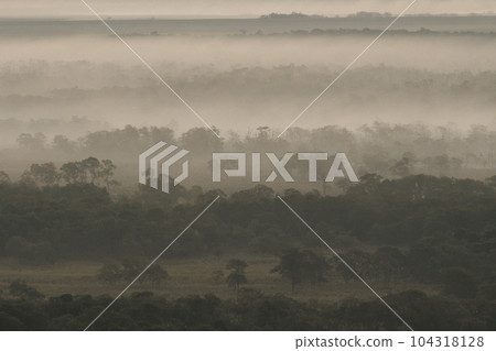 釧路濕原的霧氣（北海道鶴居村） 104318128