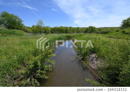 A tributary of the Setsuri River in early summer (Tsurui Village, Hokkaido) 104318152